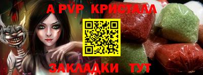 гашик Сланцы