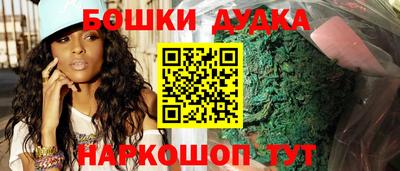 гашик Сланцы