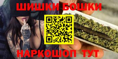 гашик Сланцы