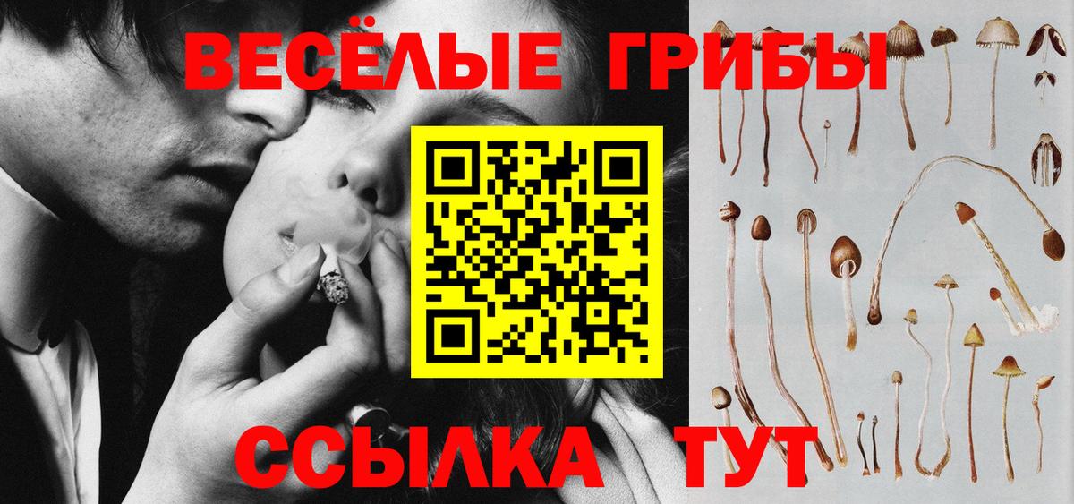 Галлюциногенные грибы Magic Shrooms Сегежа